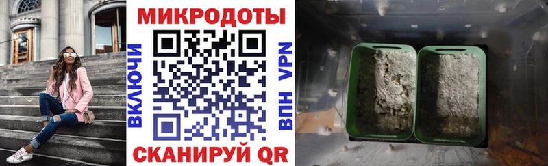 закладка  Лебедянь  Галлюциногенные грибы мицелий 
