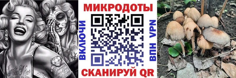 Галлюциногенные грибы Psilocybine cubensis Лебедянь